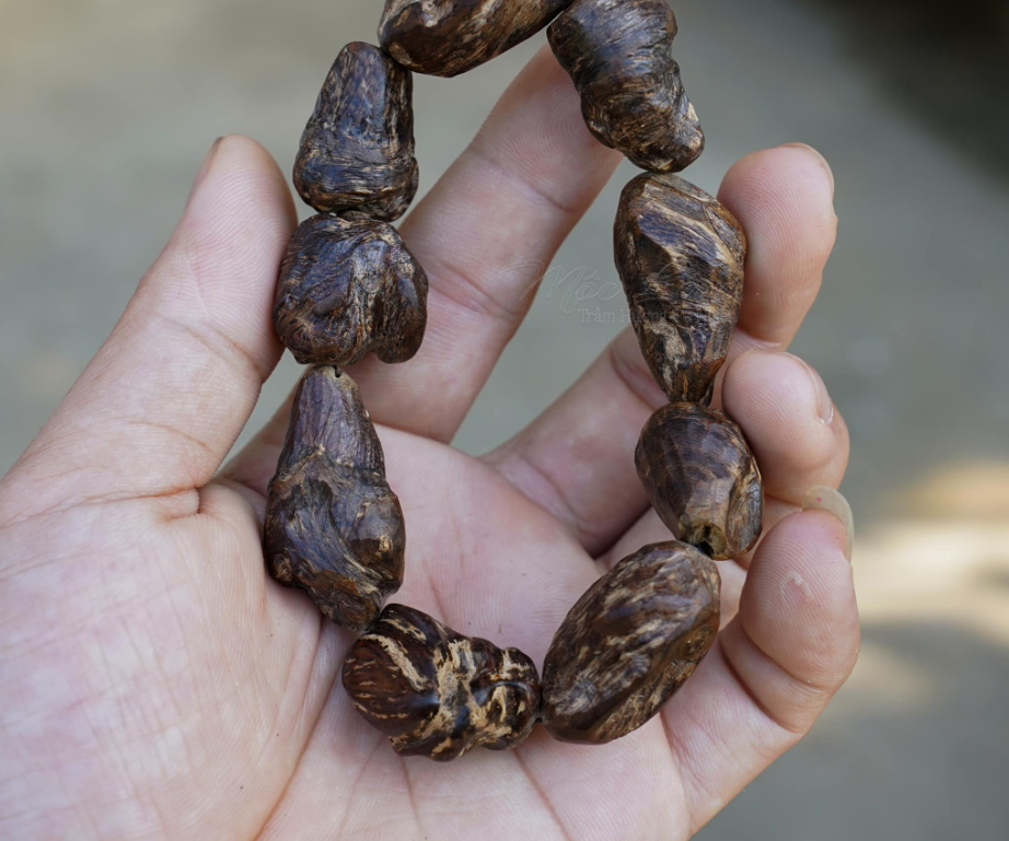 Giá của Hoàng Đàn và Trầm Hương